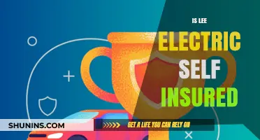 Is Lee Electric Self-Insured? Exploring Their Coverage and Risk Management