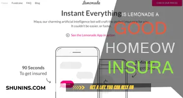 Lemonade: A Refreshing Take on Homeowners Insurance?