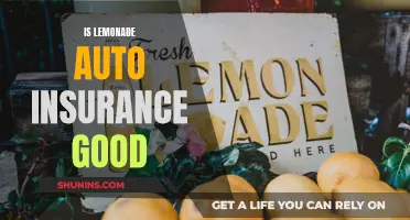 Lemonade Auto Insurance: Is It Worth the Squeeze?