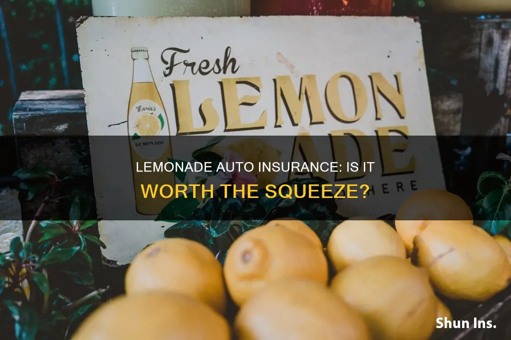 is lemonade auto insurance good