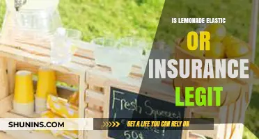 Lemonade vs. Elastic: Which Insurance Provider is Legit and Why?