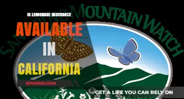 Is Lemonade Insurance Available in California? A Comprehensive Guide