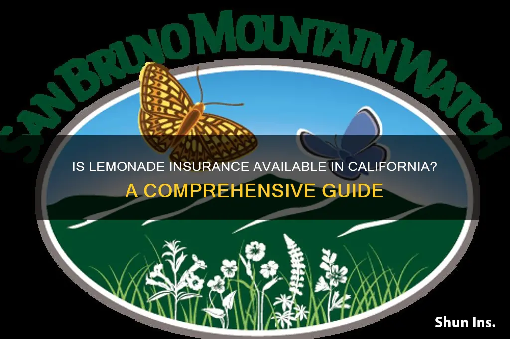 is lemonade insurance available in california