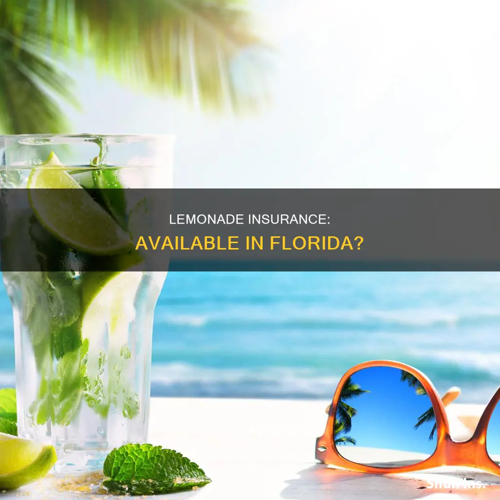 is lemonade insurance available in Florida