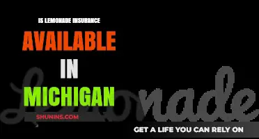 Is Lemonade Insurance Available in Michigan? A Comprehensive Guide