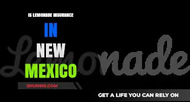 Is Lemonade Insurance Available in New Mexico? A Comprehensive Guide