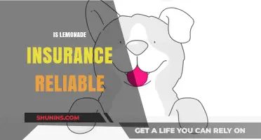 Is Lemonade Insurance Reliable? A Comprehensive Review and Analysis
