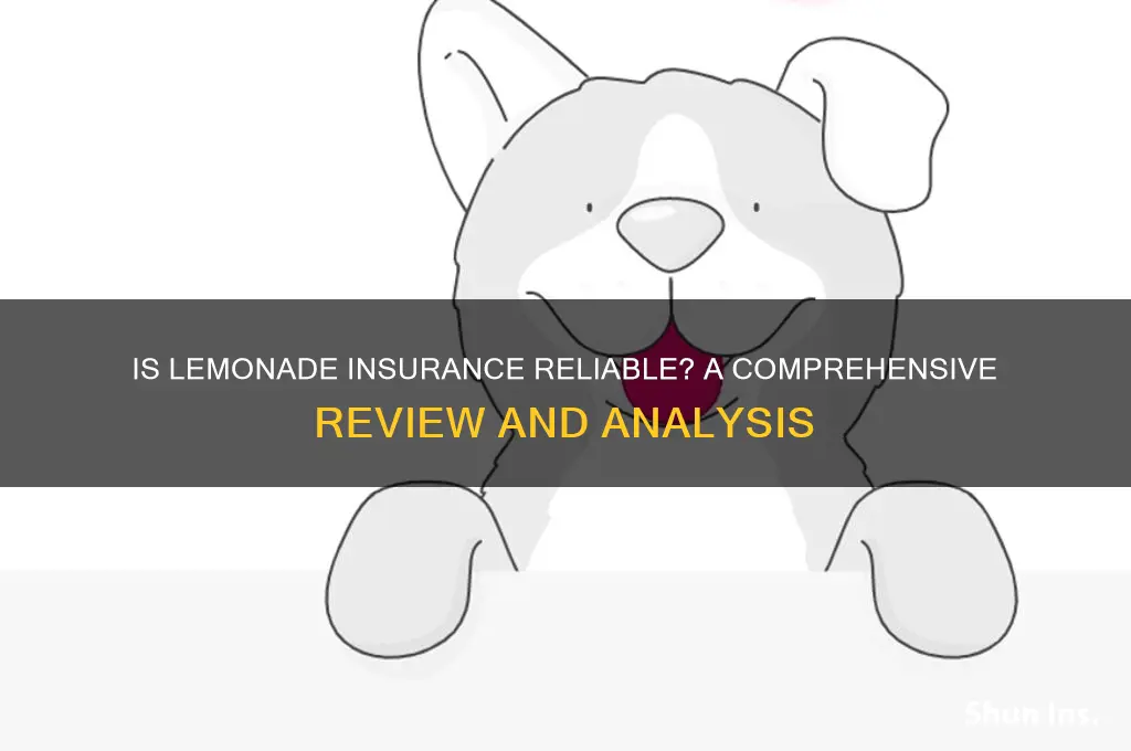 is lemonade insurance reliable