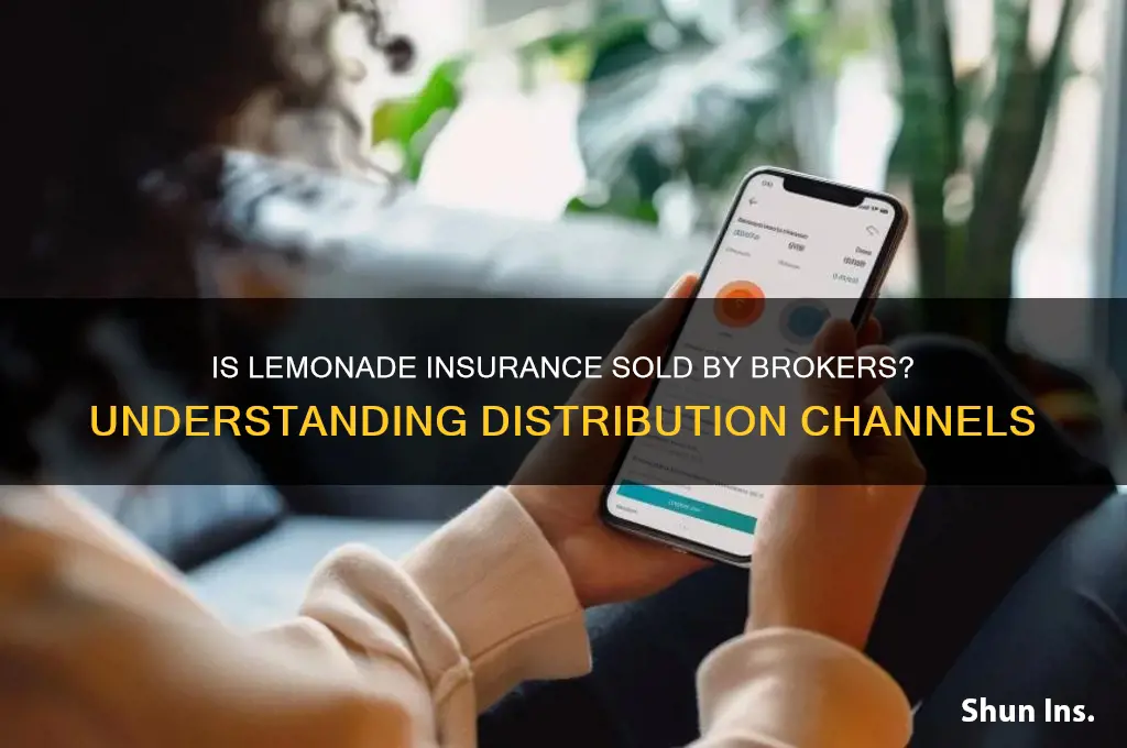 is lemonade insurance sold by brokers