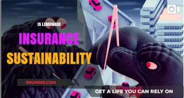 Is Lemonade Insurance Truly Sustainable? Exploring Its Eco-Friendly Claims