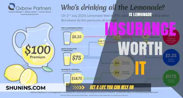 Lemonade Insurance: Worth the Squeeze?