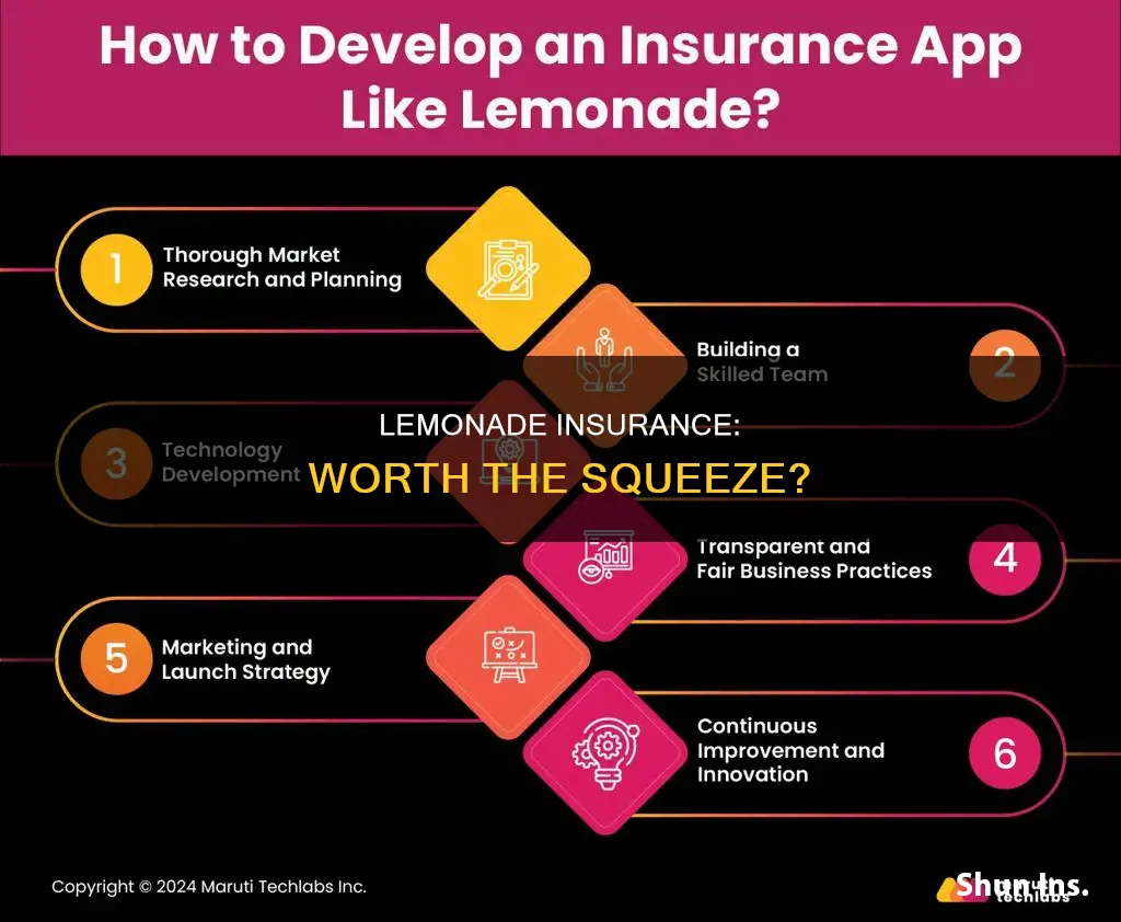 is lemonade insurance worth it
