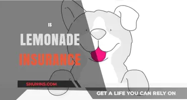 Is Lemonade Insurance Right for You? Pros, Cons, and Coverage Explained
