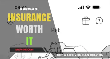 Lemonade Pet Insurance: Is It Worth the Squeeze?