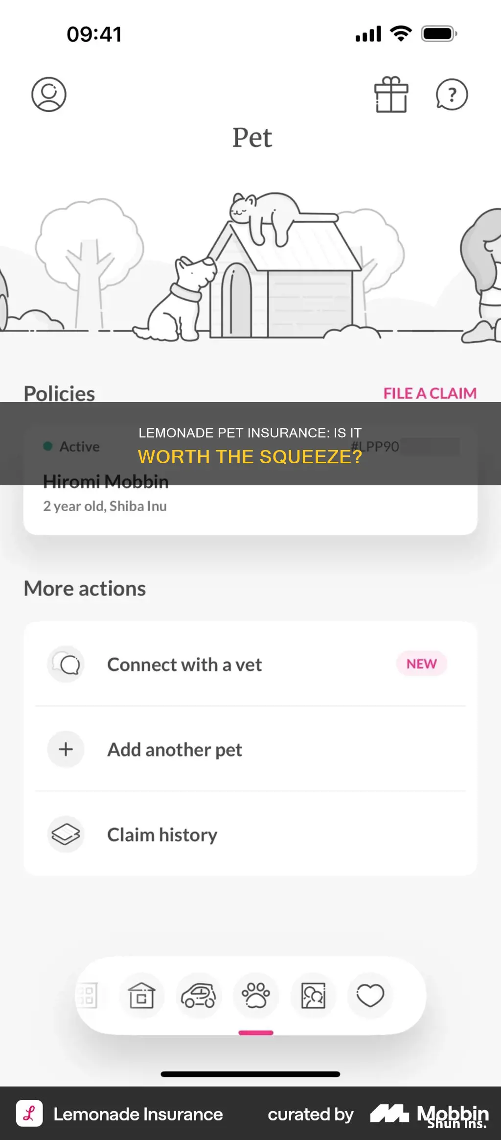 is lemonade pet insurance worth it