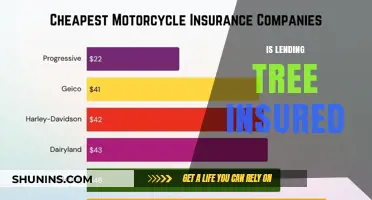 Is LendingTree Insured? Understanding Protection for Your Financial Journey