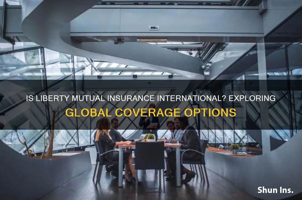 is liberty mutural insurance international