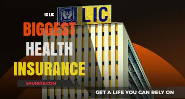 Exploring LIC's Dominance in the Health Insurance Sector