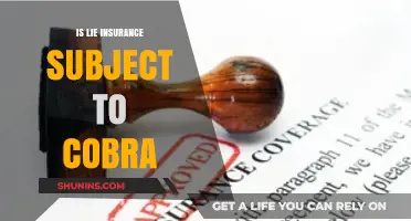Is Life Insurance Subject to COBRA? Understanding Your Coverage Options