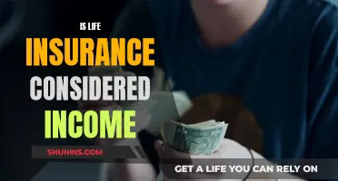 Life Insurance: Income or Asset?