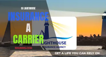 Lighthouse Insurance: Carrier or Not?