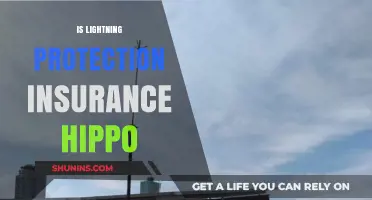 Is Lightning Protection Insurance Worth It? Hippo's Coverage Explained