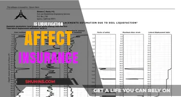 Liquefaction Risk: Insurance and Property Loss