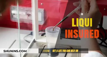 Is Liqui Insured? Understanding Coverage and Protection for Your Assets