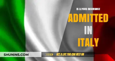 Lloyd's Insurance in Italy: Admitted Status and Regulatory Compliance
