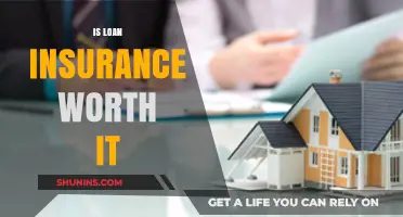 Loan Insurance: Necessary Protection or Unnecessary Expense?