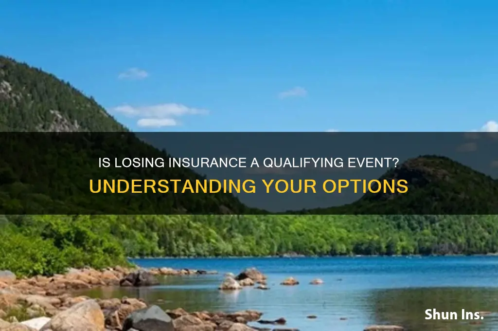 is losing insurance a qualifying event