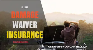 Understanding Loss Damage Waiver Insurance: Coverage, Costs, and Benefits