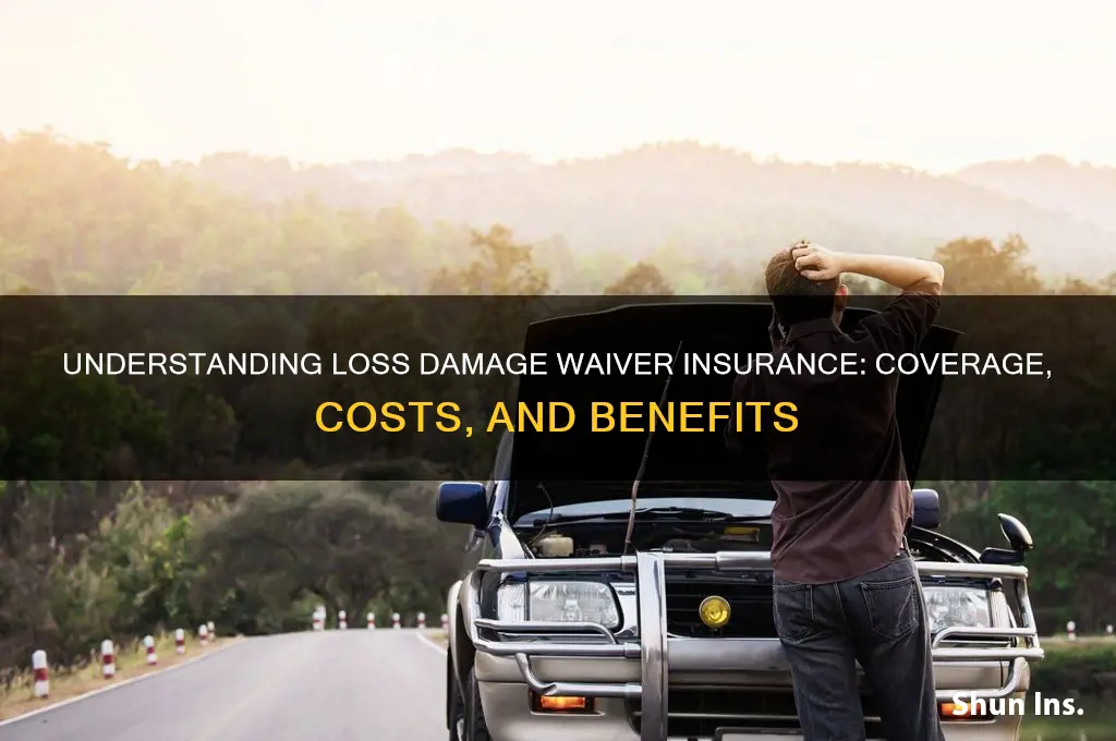 is loss damage waiver insurance