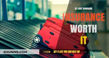 Lost Baggage Insurance: Is Peace of Mind Worth the Cost?