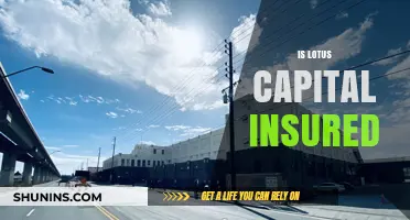 Is Lotus Capital Insured? Exploring Coverage and Protection for Investors