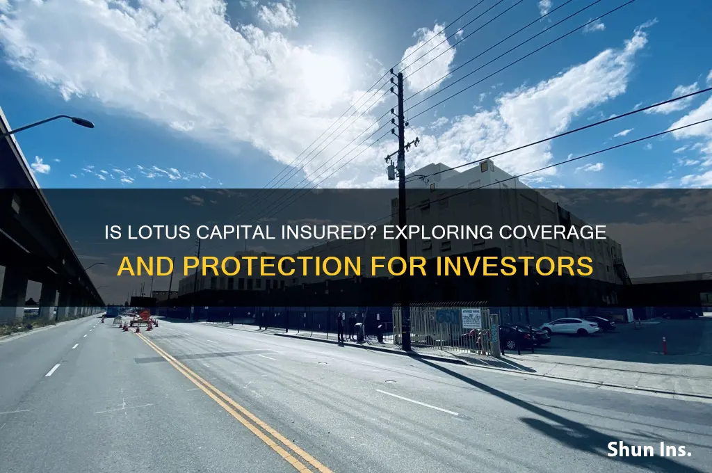 is lotus capital insured