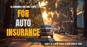 Louisiana Auto Insurance: Understanding No-Fault State Regulations