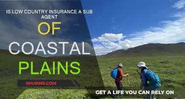 Low Country Insurance: Coastal Plains' Sub-Agent?