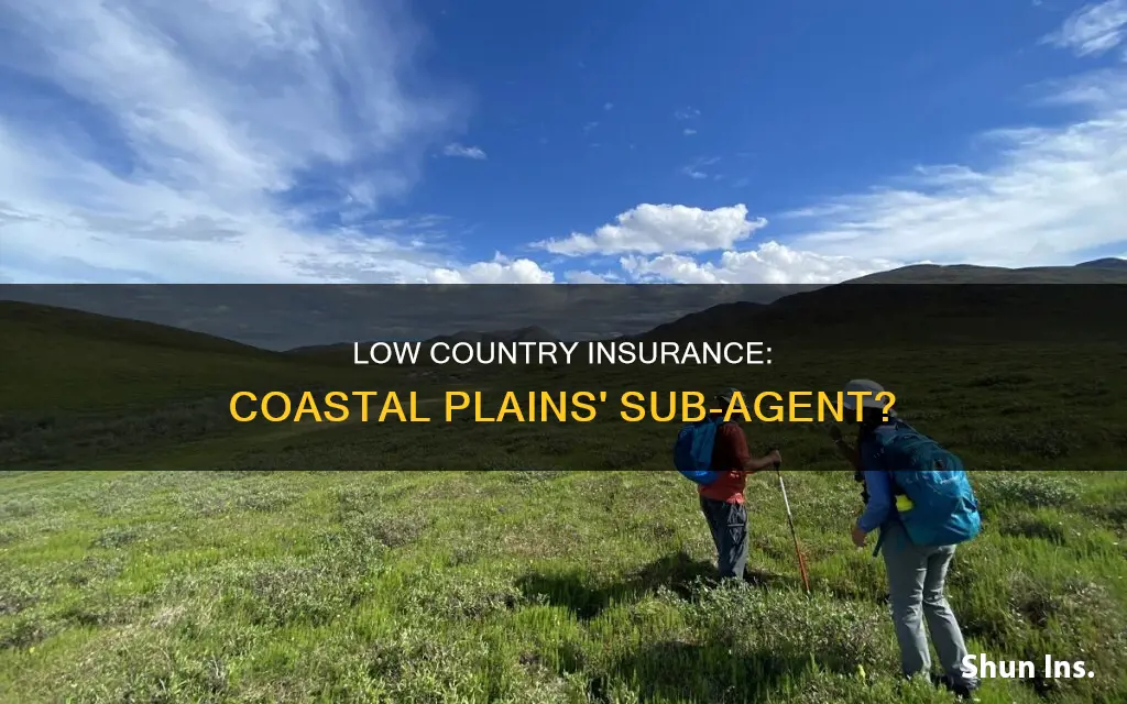 is low country insurance a sub agent of coastal plains