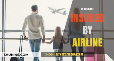 Is Your Luggage Insured? Airline Policies and Coverage Explained