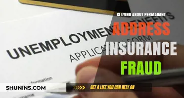 Lying About Permanent Address: Insurance Fraud or Innocent Mistake?