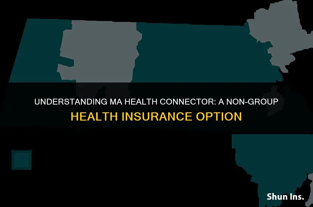 is ma health connector a non group health insurance
