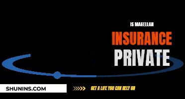 Magellan Insurance: Is It Private or Publicly Available?