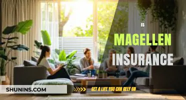 Is Magellan Insurance Right for You? A Comprehensive Review and Guide