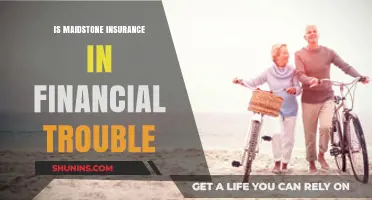 Is Maidstone Insurance Facing Financial Struggles? A Detailed Analysis
