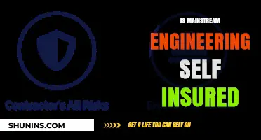Is Mainstream Engineering Self-Insured? Exploring Risks and Coverage Gaps