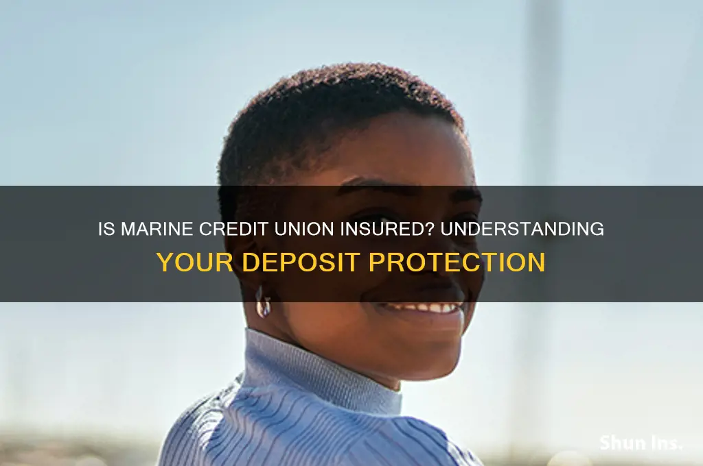 is marine credit union insured