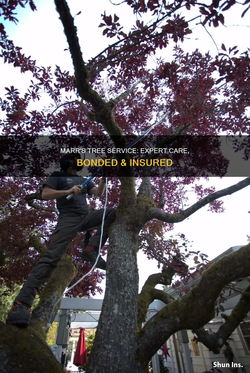 is marrs tree service bonded and insured