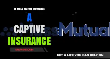 Is Mass Mutual Insurance a Captive Insurance Provider? Explained