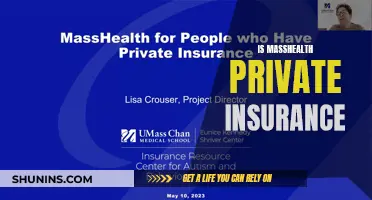 MassHealth: Private Insurance or Public Option?